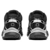 XT-Pathway “Black Silver”