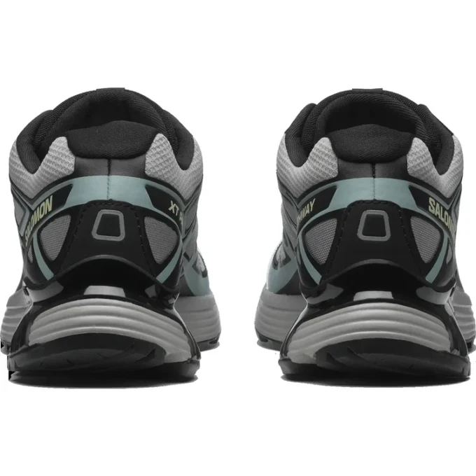 XT-Pathway “Ghost Grey Arona”
